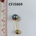 CFJ5869