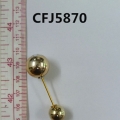 CFJ5870
