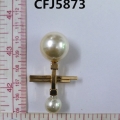 CFJ5873