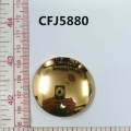 CFJ5880