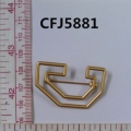 CFJ5881