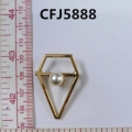 CFJ5888