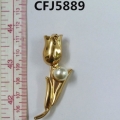 CFJ5889