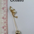 CFJ5893