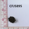 CFJ5895