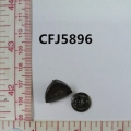 CFJ5896