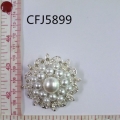 CFJ5899