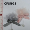 CFJ5923