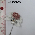CFJ5925