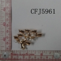 CFJ5961