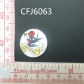 CFJ6063