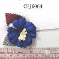 CFJ6064