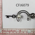 CFJ6079