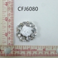 CFJ6080