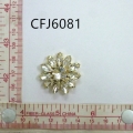 CFJ6081