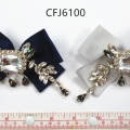 CFJ6100