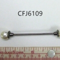 CFJ6109
