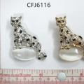 CFJ6116