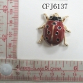 CFJ6137