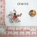 CFJ6153