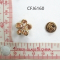CFJ6160