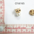CFJ6165