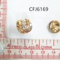 CFJ6169