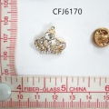 CFJ6170