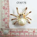 CFJ6176