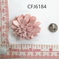 CFJ6184
