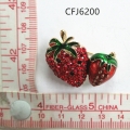 CFJ6200