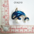 CFJ6210