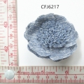 CFJ6217