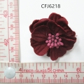 CFJ6218