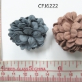 CFJ6222