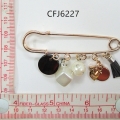 CFJ6227