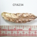 CFJ6234