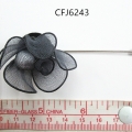CFJ6243
