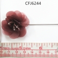 CFJ6244