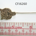 CFJ6260