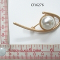 CFJ6276