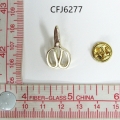 CFJ6277