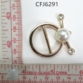 CFJ6291