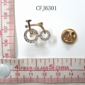 CFJ6301