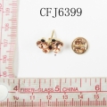 CFJ6399