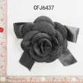 CFJ6437