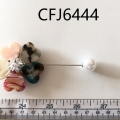 CFJ6444