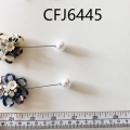 CFJ6445