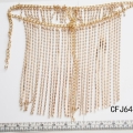 CFJ6463 (2)