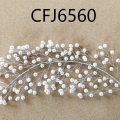 CFJ6560
